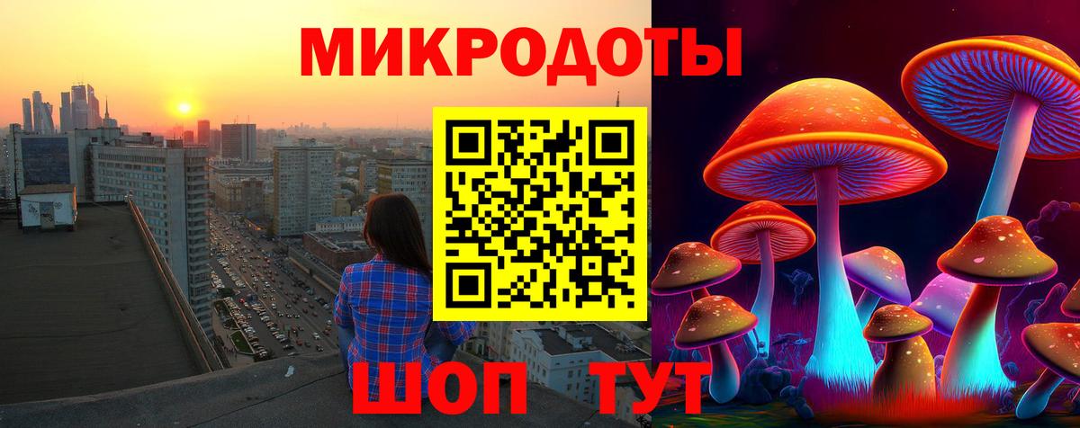 Псилоцибиновые грибы GOLDEN TEACHER  Вход с VPN  Верхняя Пышма 