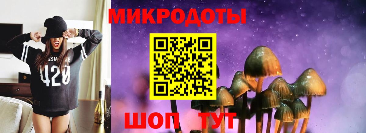 Галлюциногенные грибы Magic Shrooms Верхняя Пышма